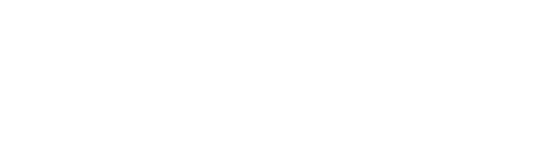 DSgenAI